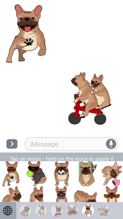 French Bulldog Emojis Star screenshot-4