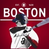 Icon Boston Baseball Red Sox Edition