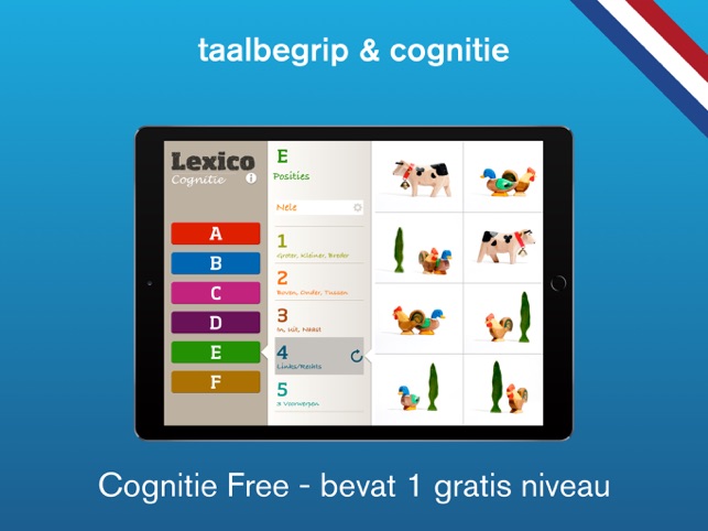 Lexico Cognitie Pro