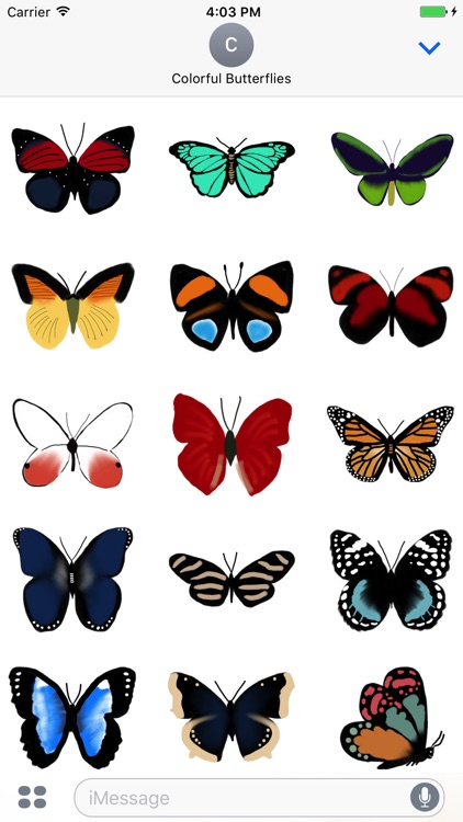 Colorful Butterflies