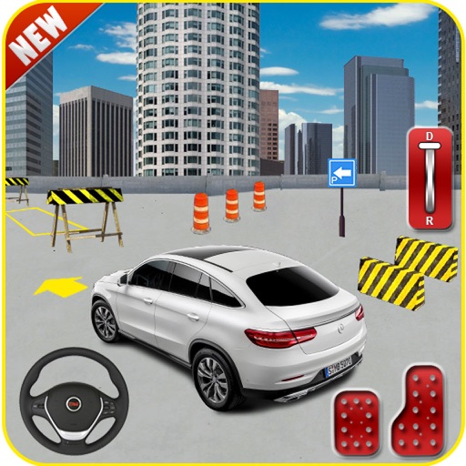 Speed Car Parking Adventure 3D pro icon