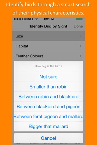 Twigle Birds Field Guide screenshot 2