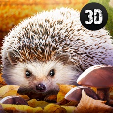 Activities of Forest Hedgehog Simulator 3D