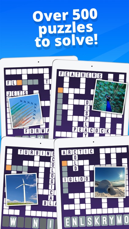 Crossword : One Clue Picture Crosswords screenshot-4