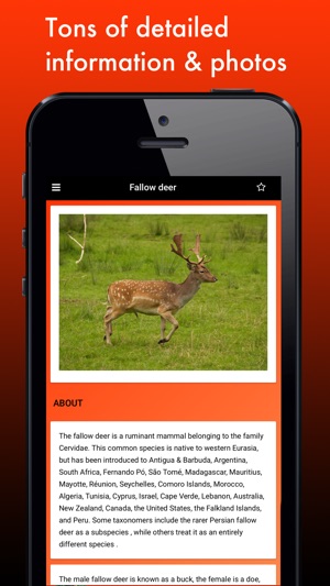 Deer Species: Amazing Creatures of the Forest(圖2)-速報App