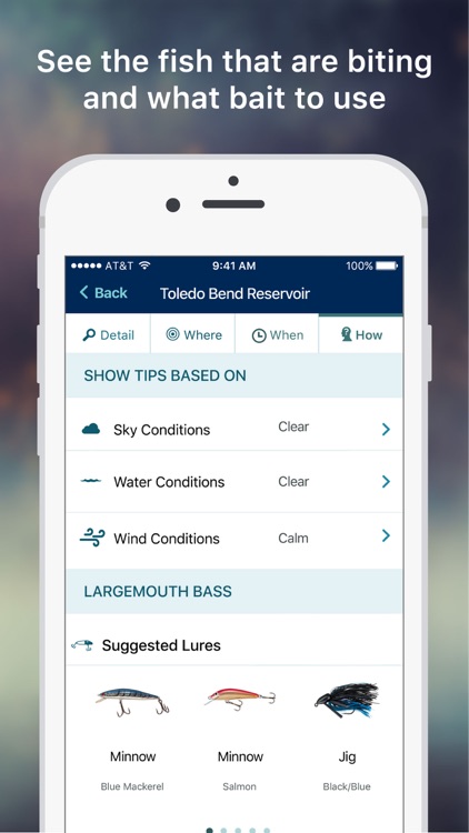 Netfish - Fishing Forecast Guide and Rewards App