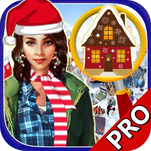 Hidden Objects:Big Home Pro icon