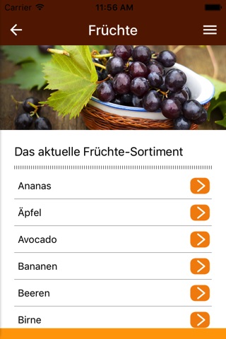Früchte Braun screenshot 2