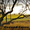 Ground Cover