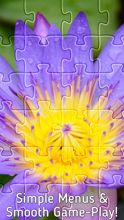 Jigsaw Puzzle Unlimited