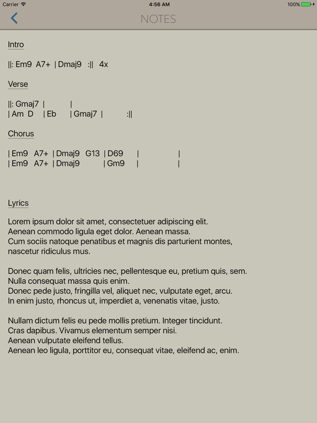 StudioMini XL - Your trusty music recorder(圖5)-速報App