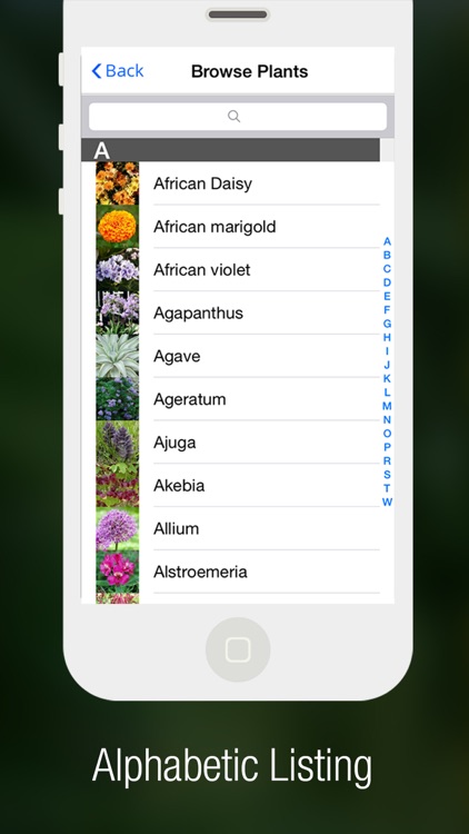 PlantsPedia - Guide to House & Garden Plants