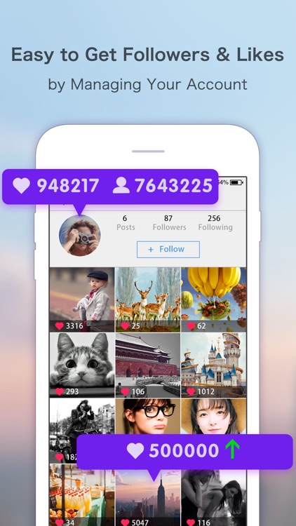 Lively Story - Likes&Followers for Instagram