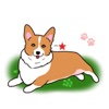 Pembroke Welsh Corgi Dog Emoji Sticker