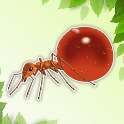 Ant Coloring Page Drawings Book for kids