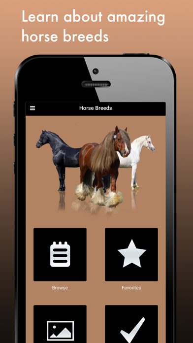 Horse Breeds: Creatures of Beauty Screenshot 1