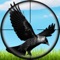 Real Safari Birds Hunter is a present day style of safari adventure games have been revolutionized