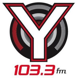 Y103