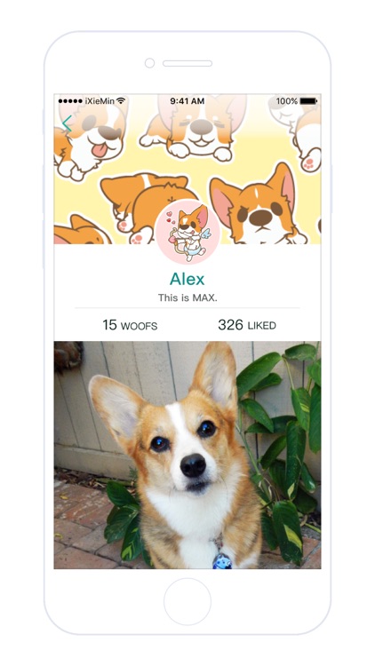 CutePet - Connect you dogs with the world.