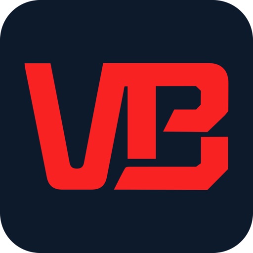 VB Chip icon