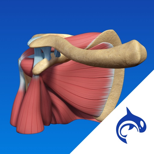 Shoulder Decide - Education & Engagement