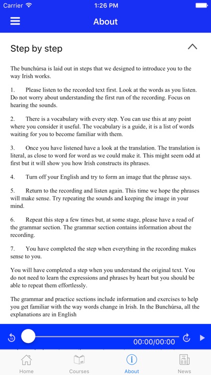 Gaeilge Inniu screenshot-4