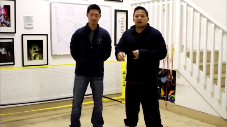 Wing Chun Master Class screenshot-3