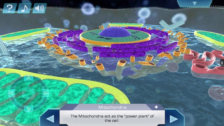Cell World