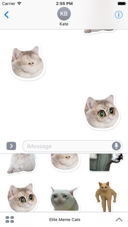Elite Cats