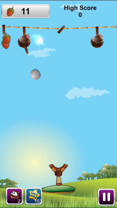 Go Nuts Game screenshot 3