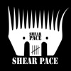 Shear Pace, Shed Version
