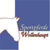 Sportpferde Wollenhaupt