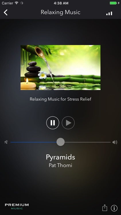 Premium Music Stations - Unlimited