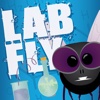 Lab Fly