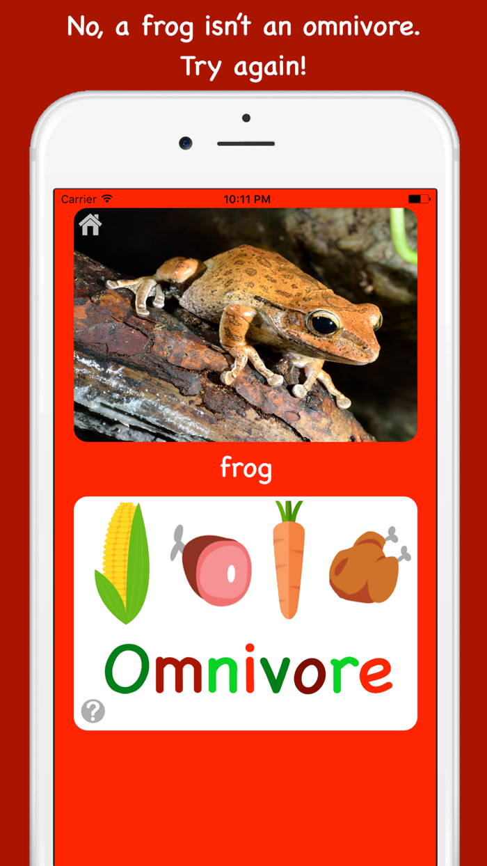 Tip Tap learn, what do animals eat?