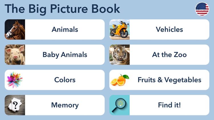 The Big Picture Book