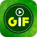 Share GIFs - Latest Trending  Viral GIF for Share