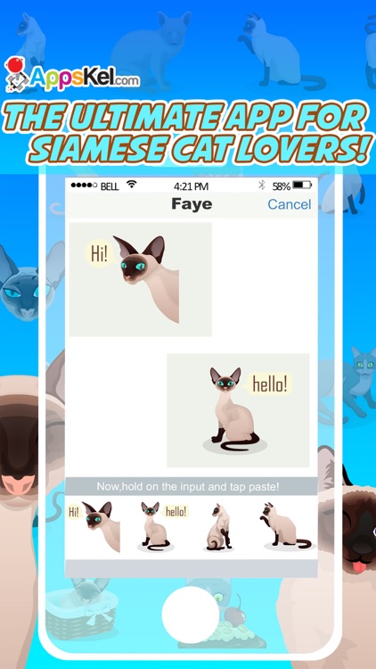 Siamese Cat Emoji – Stickers for Text Messages Pro