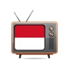 Indonesia TV Online Channels