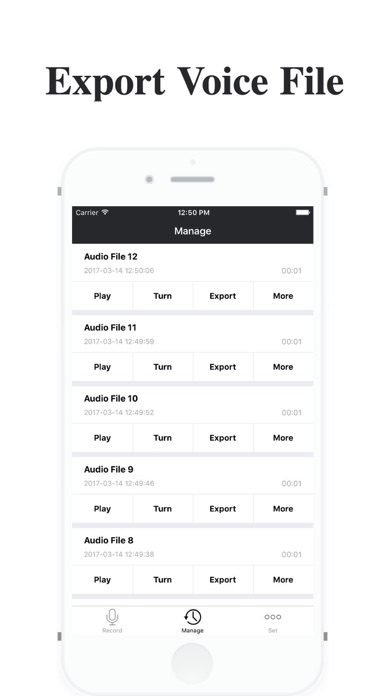 Voice Recorder - Voice and Text Translator screenshot 2