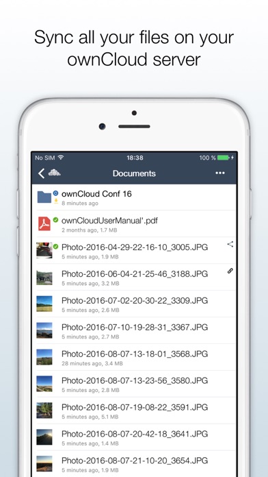 owncloud versioning