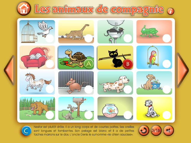 Les animaux de compagnie(圖3)-速報App