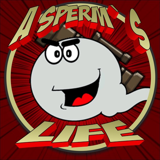 A Sperm's Life: A quest to fertilize an egg