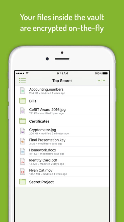 Cryptomator - Cloud Storage Encryption screenshot-3