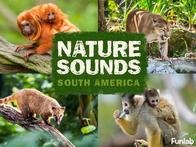 Nature Sounds South America(圖1)-速報App