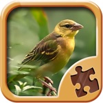Quebra-cabeça De Aves - Jogos De Puzzle