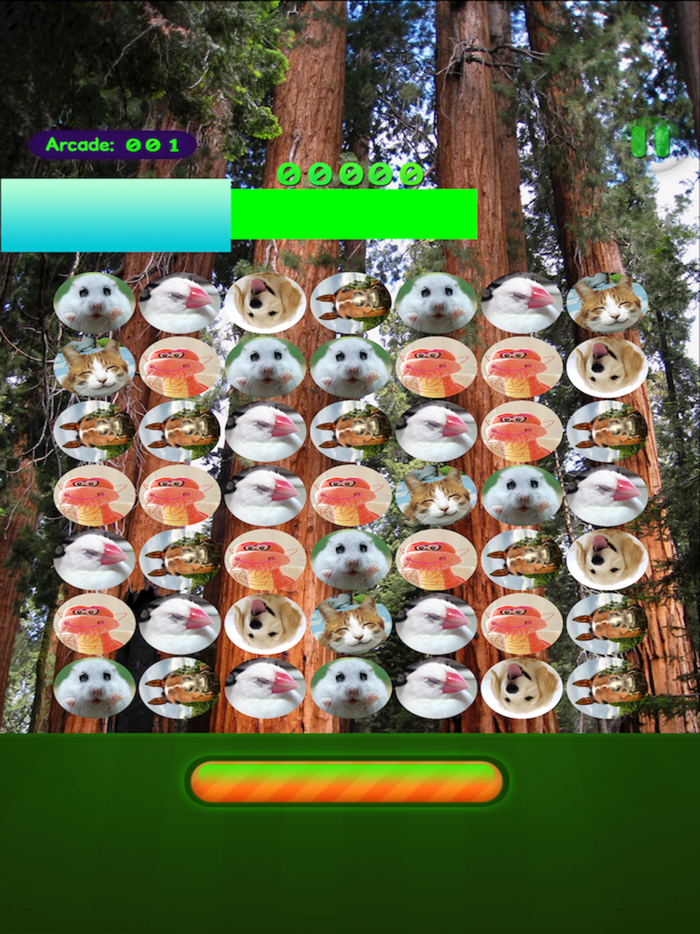 Super Cute Pet Touch超可爱宠物摸