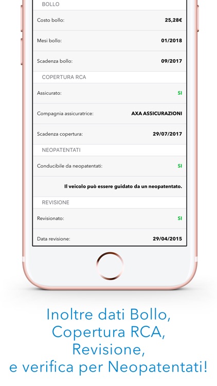 Controllo Targa - Check dati assicurazione e furto