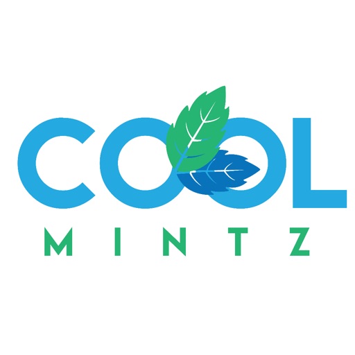 Cool Mintz Marketing Agency