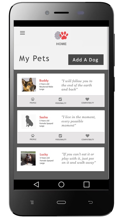 PawsLikeMe Lifestyle